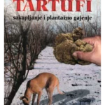 Tartufi