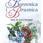 Borovnica i brusnica