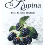 Kupina