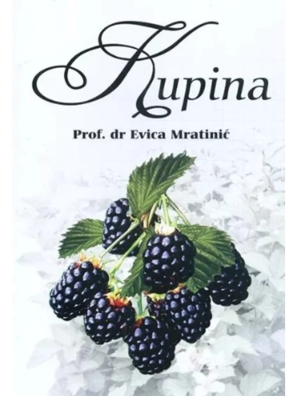 Kupina 1