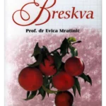 Breskva