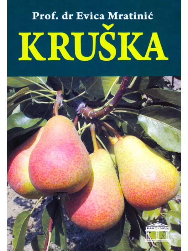 Kruška 1