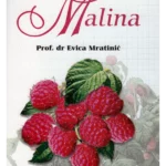 Malina