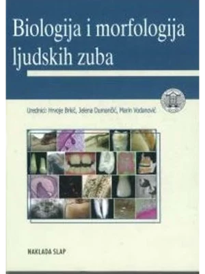 Biologija i morfologija ljudskih zuba