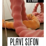 Plavi sifon