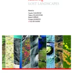 Recovering Lost Landscapes