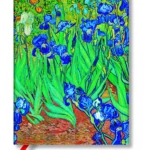 Notes - VAN GOGH'S IRISES, Midi Linije