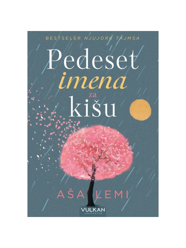 Pedeset imena za kišu - Image 1