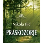 Praskozorje