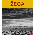 Žega