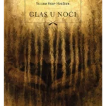 Glas u noći