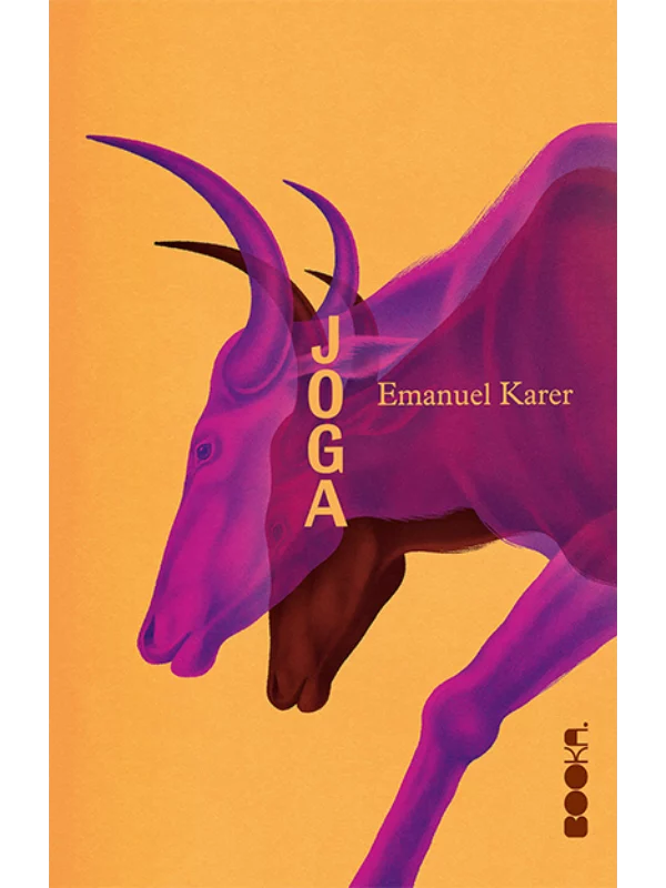 Joga - Image 1