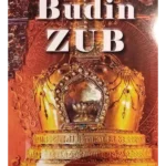 Budin zub