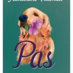 Pas - Alehandro Palomas