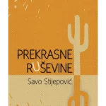 Prekrasne ruševine
