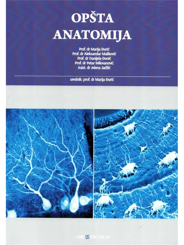 Opšta anatomija - Image 1