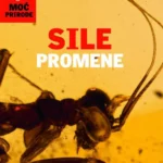 Sile promene - moć promene