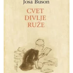 Cvet divlje ruže