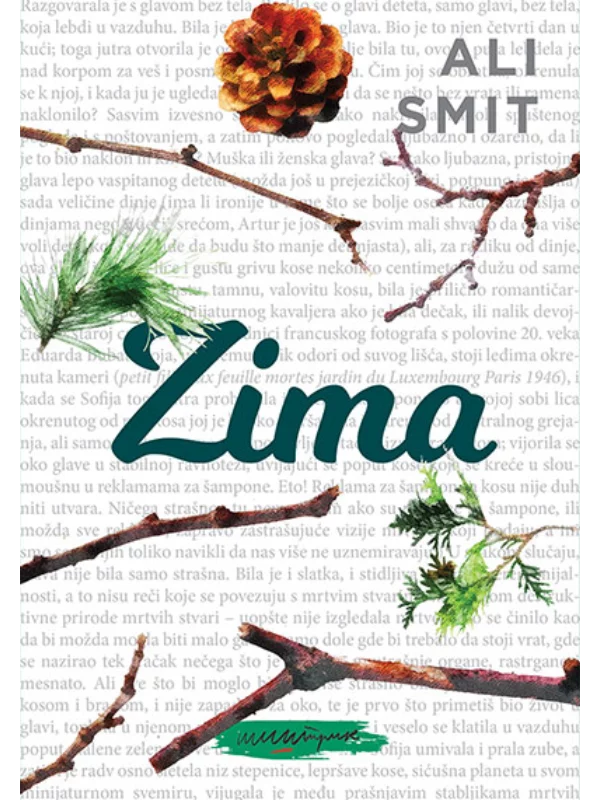 Zima 1