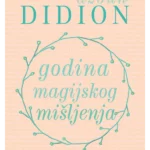 Godina magijskog mišljenja