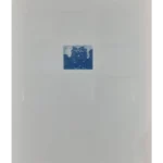 Crni čovek