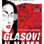 Glasovi u nama: priče sa psihoterapije