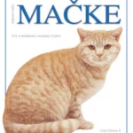 Mačke – potpuni vodič