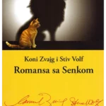 Romansa sa senkom
