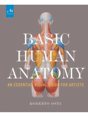 Basic Human Anatomy