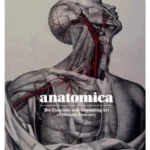 Anatomica