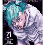Jujutsu Kaisen. 21