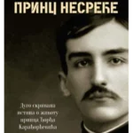 Princ nesreće