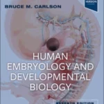 Human Embryology and Developmental Biology , 7th Edition