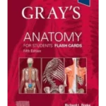 Gray's Anatomy for Students Flash Cards, 5th Edition