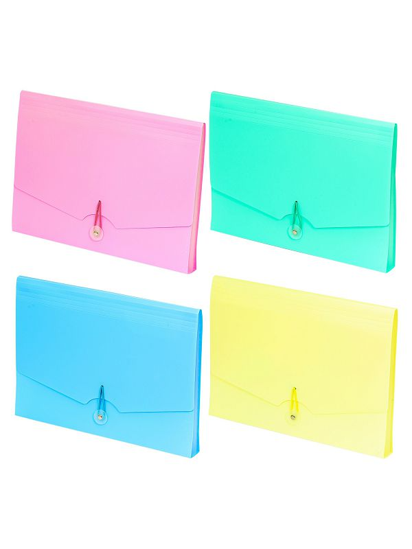 3858891503998 Pvc Fascikla 12 Džepova A4 - Slika 1