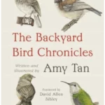 The Backyard Bird Chronicles