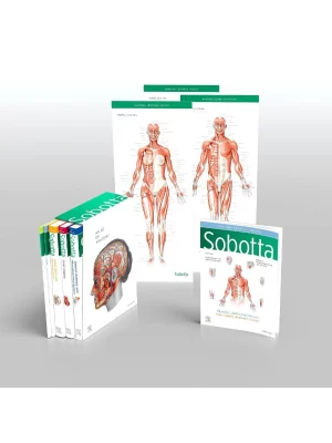 Sobotta Atlas of Anatomy, Package, 17th ed., English/Latin