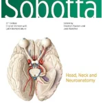 Sobotta Atlas of Anatomy, Vol. 3, 17th ed., English/Latin: Head, Neck and Neuroanatomy