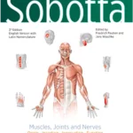 Sobotta Tables of Muscles, Joints and Nerves, English/Latin