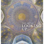 The Art of Looking Up