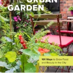 The Urban Garden