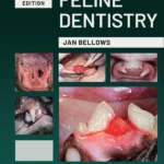 Feline Dentistry, 2nd Edition