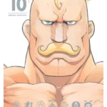 FMA FULLMETAL ED V10 HA