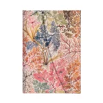 Notes - Anemone Mini Linije