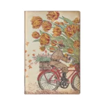 Notes - Holland Spring Mini Linije