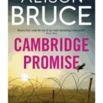 The Promise - DC Gary Goodhew Novels
