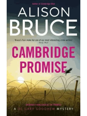 The Promise - DC Gary Goodhew Novels