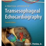 A Practical Approach to Transesophageal Echocardiography  4th edition