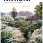 Dreamscapes
