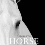 The Book of the Horse